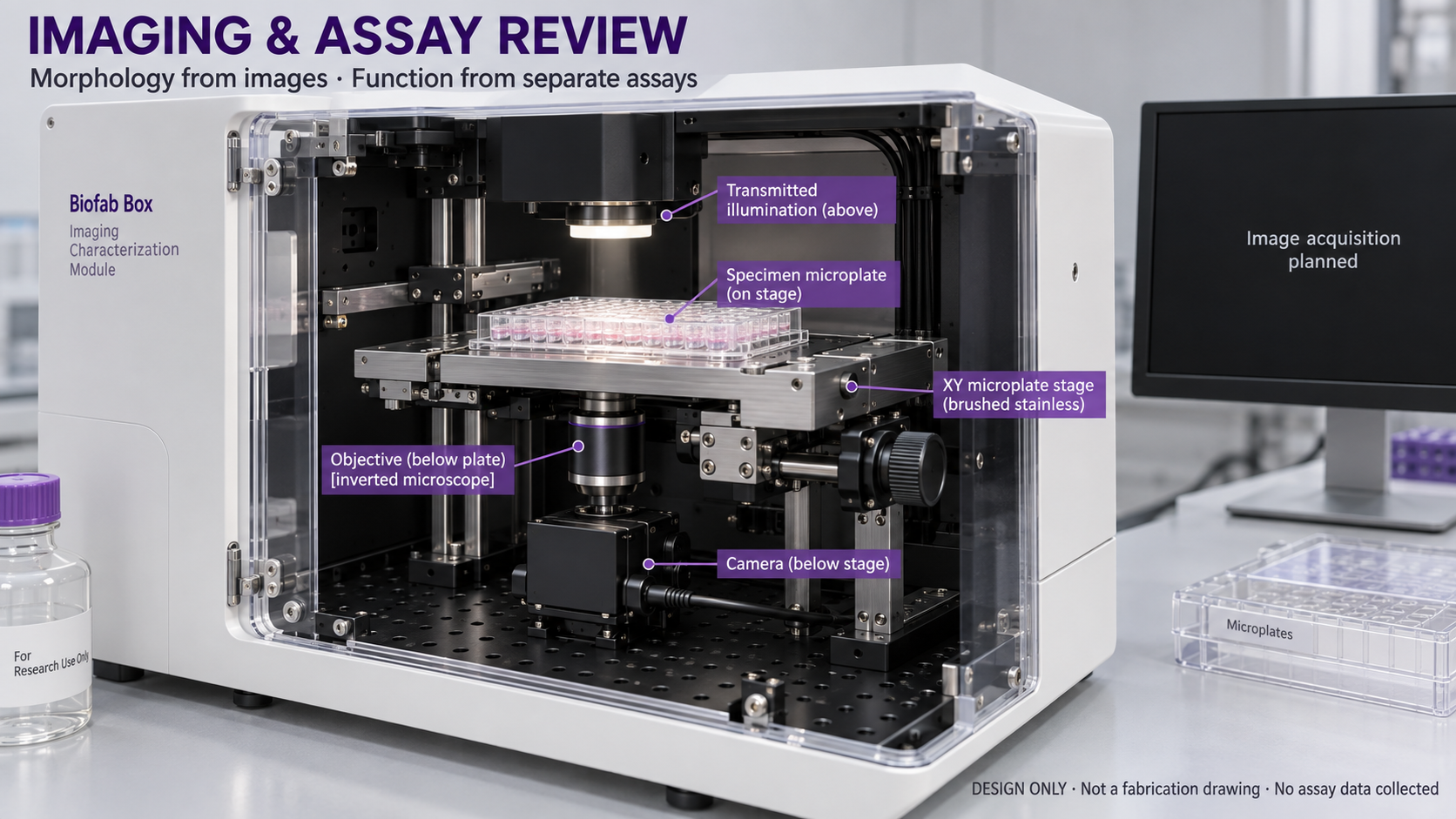 Concept illustration: Imaging & assays