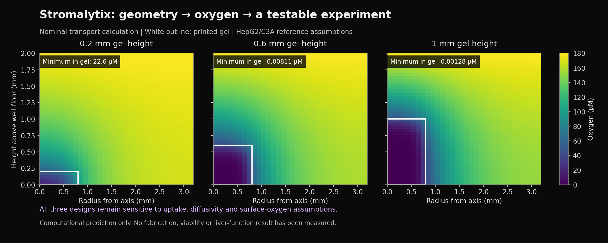 Calculated oxygen fields for 0.2, 0.6 and 1 millimeter gels. Under the nominal assumptions, thicker gels have lower minimum oxygen.